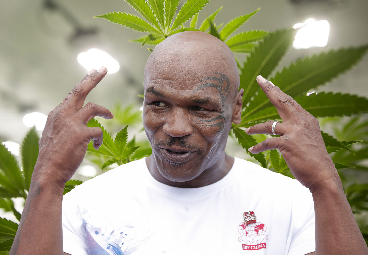 Mike Tyson Weed